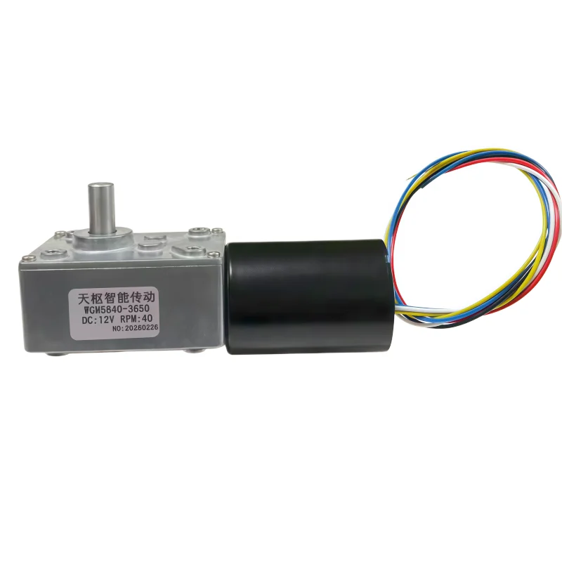 Brushless DC speed reduction motor 12V/24V with control power supply 5840-3650 self-locking micro-speed regulating motor