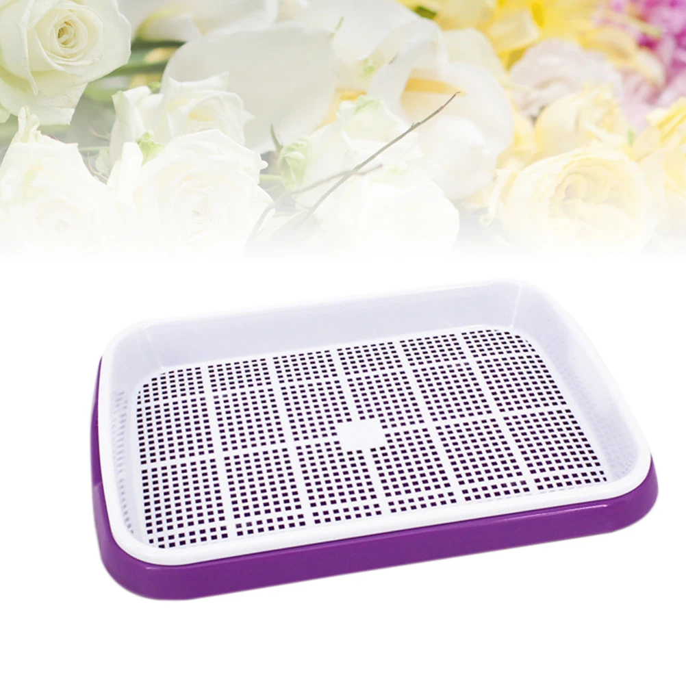 

Premium Seed Sprouter Tray Set BPA Free PP Material Growing Trays Microgreens Storage Fruits Vegetables High