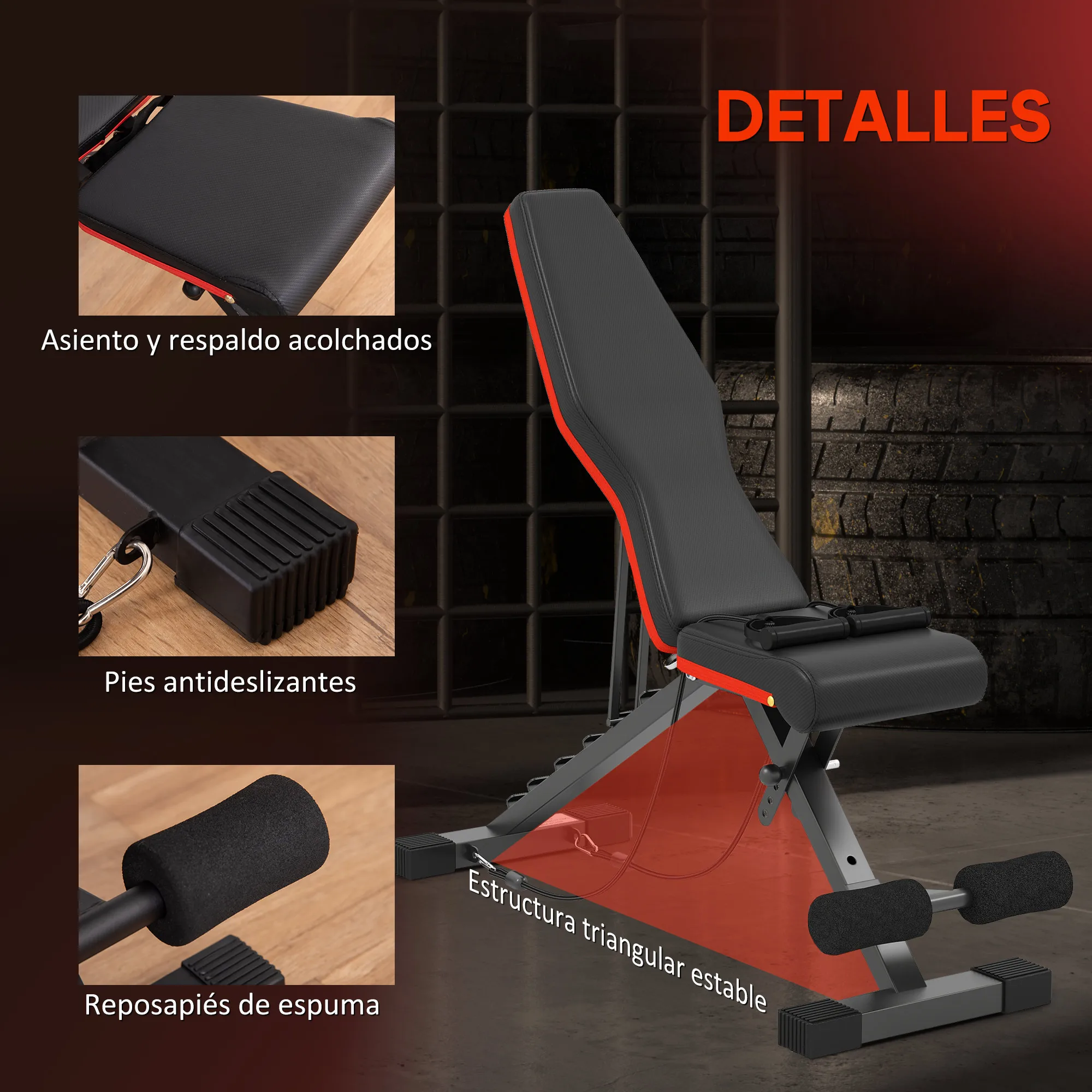 Imagen 5