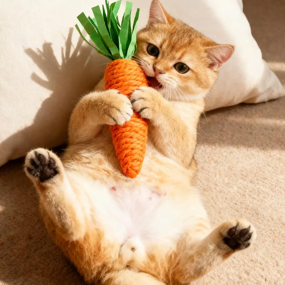 Cat Toy Carrot Soun…