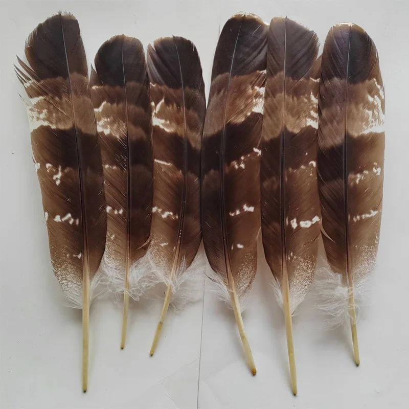 10Pcs/Lot Natural Eagle Feathers for Crafts Plume Headdress Accessories Holiday Decoration Carnival Feather DIY Handicraft Decor