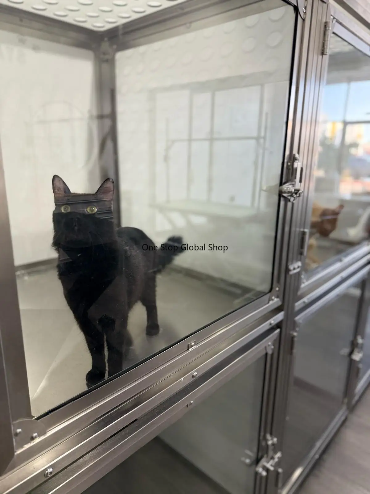Wholesale Manufacturer Large Cat Cage Luxury Double-Deck Pet Kennel Stainless Steel Metal Bank Pet Cages Plastic Tray Pallet