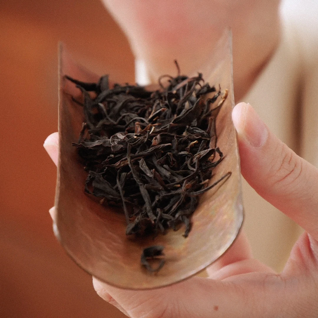 Rumor | Wilderness Old Black Tea Kung Fu 2013 Zherong Wer Fruit Fragrance Fully Fermented Powder