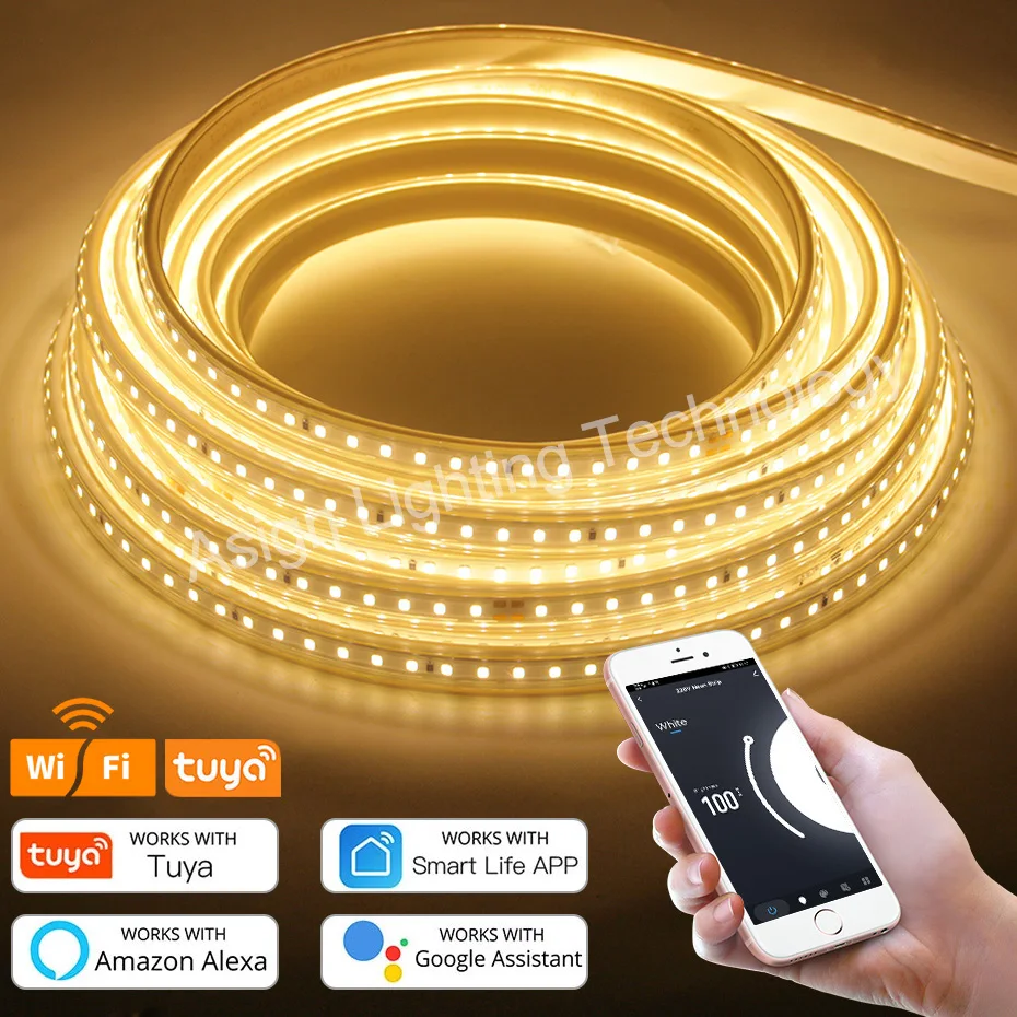 Ultra Bright AC 220V LED Strip SMD 2835 120LEDs/M Flexible Led Tape Outdoor Waterproof Neon Light Remote Control with EU Plug