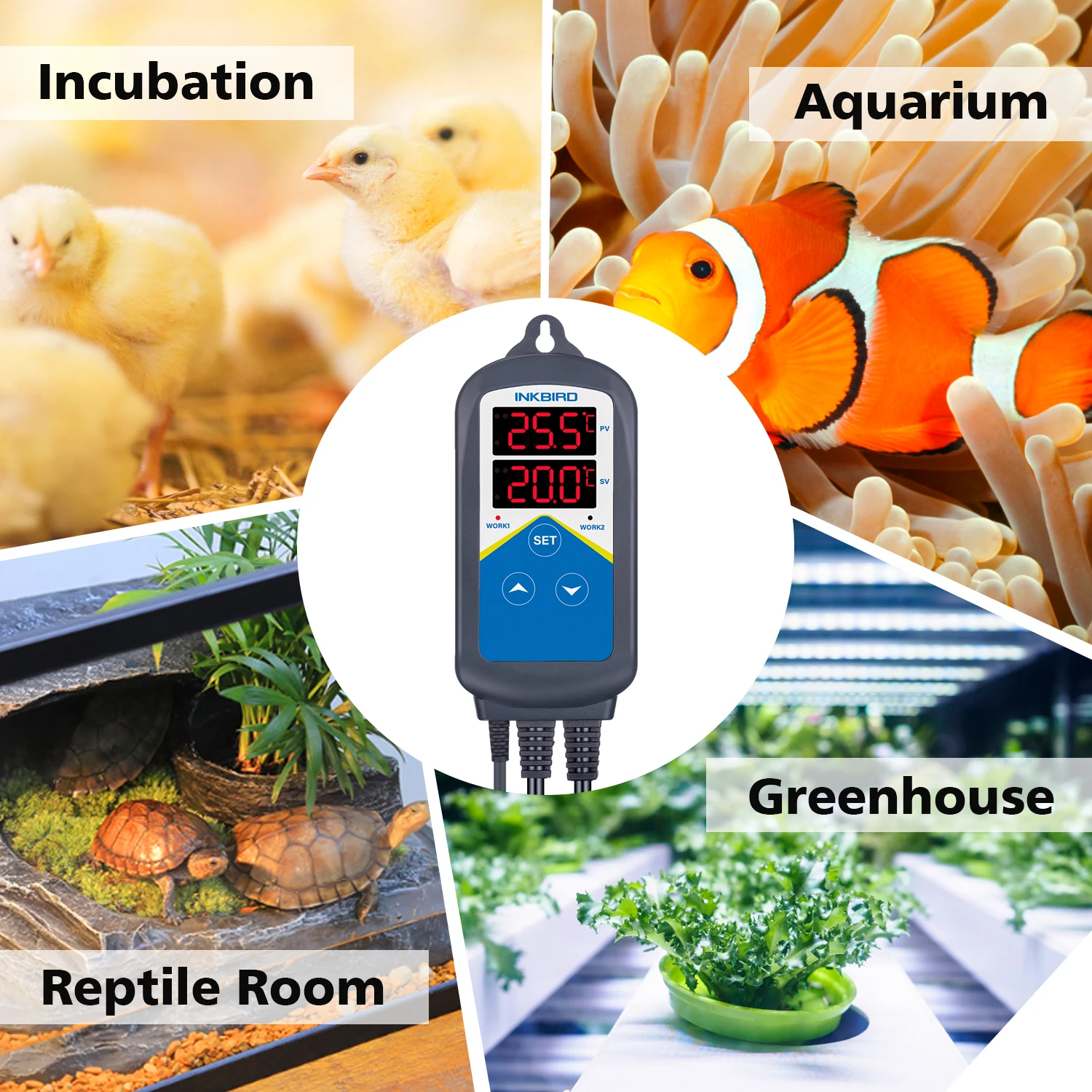 INKBIRD ITC-306T Prewired Heating Output Temperature Controller With Dual LCD Display For Propagation Cultivation Breeding Hatch