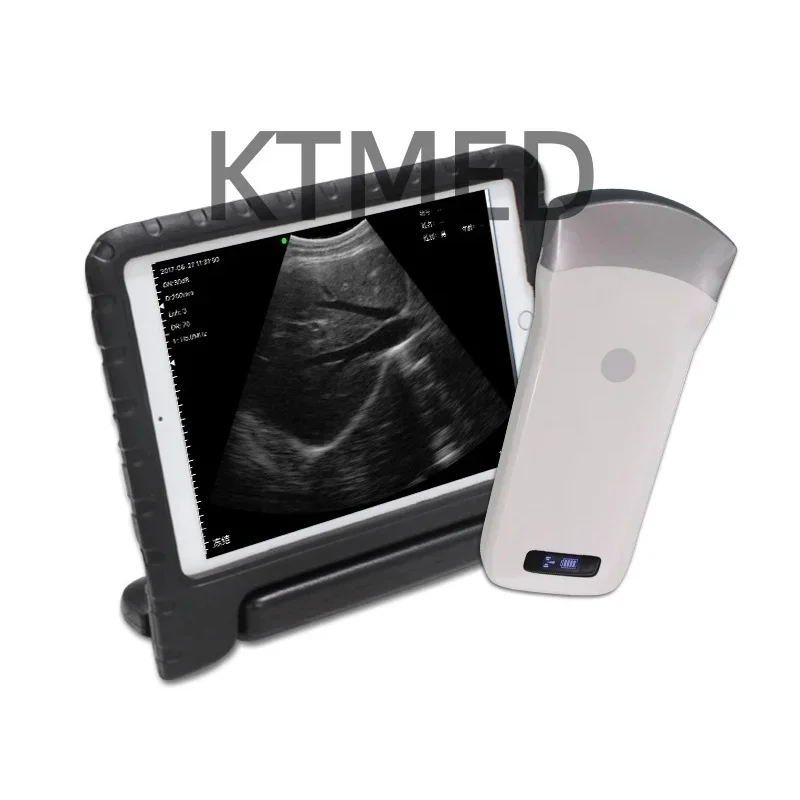KT-A053 Wireless Convex Veterinary Ultrasound Probe For Pets And Small Animals