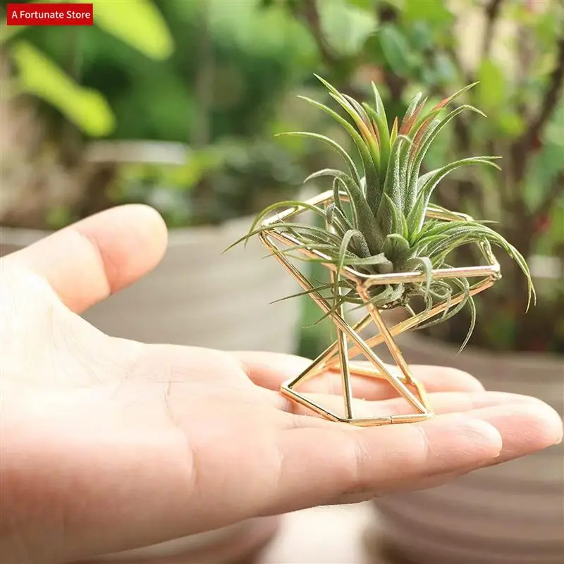 12 Uds. Soporte geométrico para plantas de aire, estante para plantas de aire, soporte para plantas de Metal, estantes para macetero, decoración Himmeli, contenedores de Tillandsia-A78G