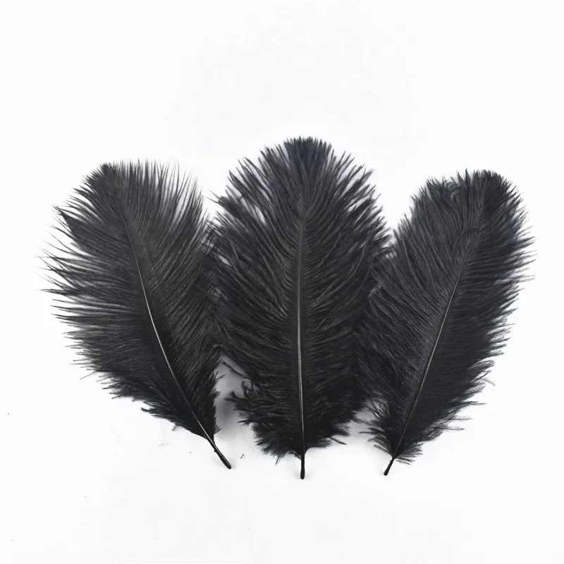 20pcs/Lot Dyed Black Feathers Rooster Goose Feathers for Jewelry Making Ostrich Pheasant Feathers for Crafts Carnaval Assesoires