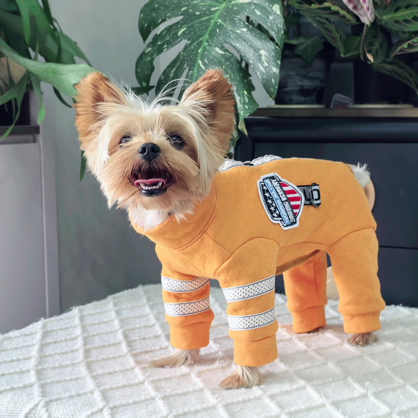 

Комбинезоны для щенков и собак на животе, домашняя одежда, модные толстые теплые хлопковые комбинезоны с пятью ногами, комбинезоны для маленьких и средних собак, одежда для домашних животных