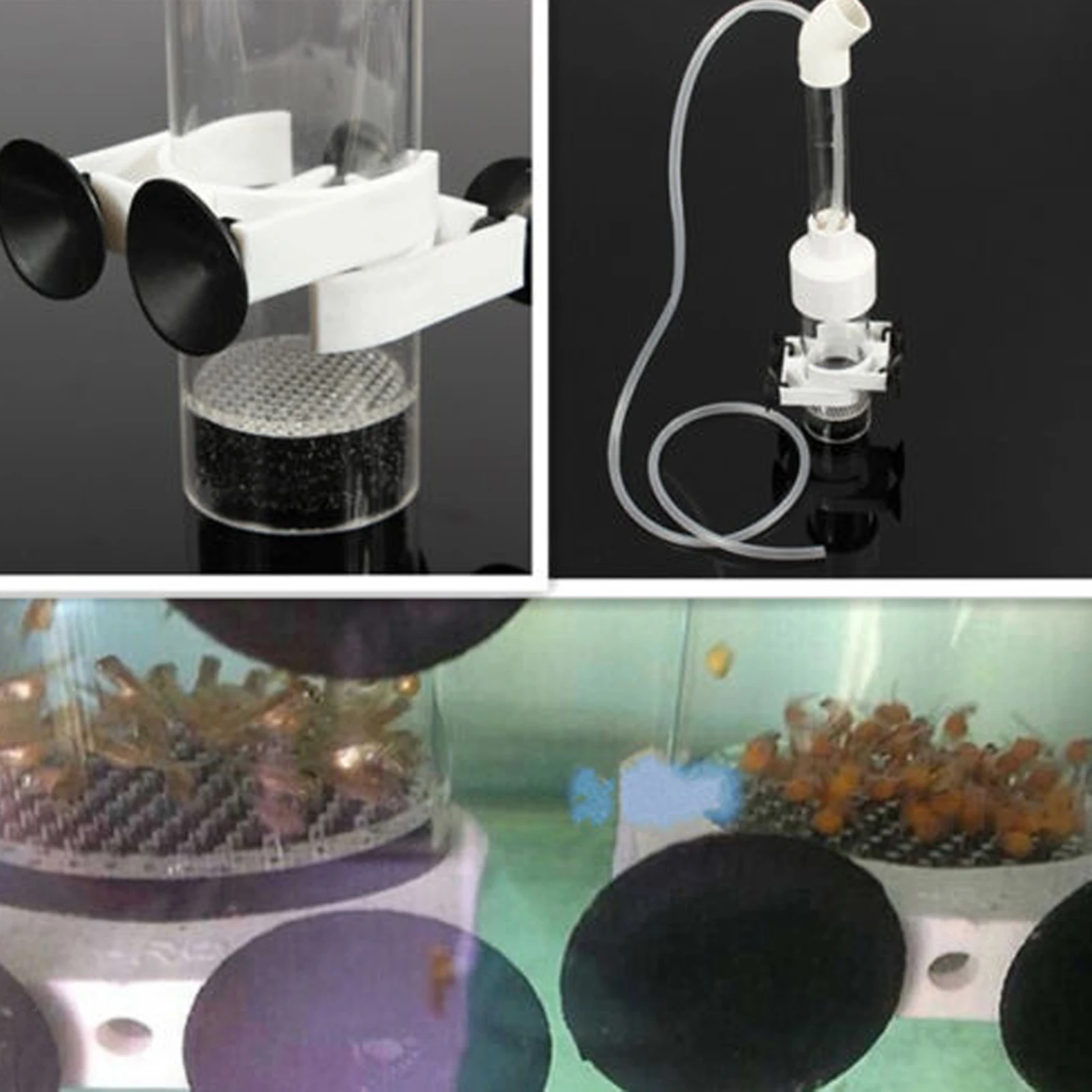 Acrylic Aquarium Egg Incubator 50mm Mouth Incubating Fish Hatchery Equipment Device for Ornamental Fish Eggs Hatching Tools
