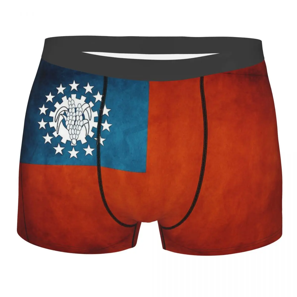 National Flag Myanmar Burmese Underpants Cotton Panties Man Underwear Ventilate Shorts Boxer Briefs