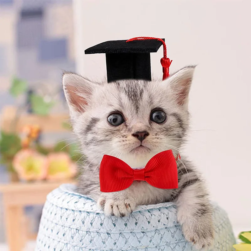 Small Animal Graduation Caps Mini Bachelor Hat with Tassel Cute Pet Hats Bowtie for kitten Hamster Photo Props Costume Accessory