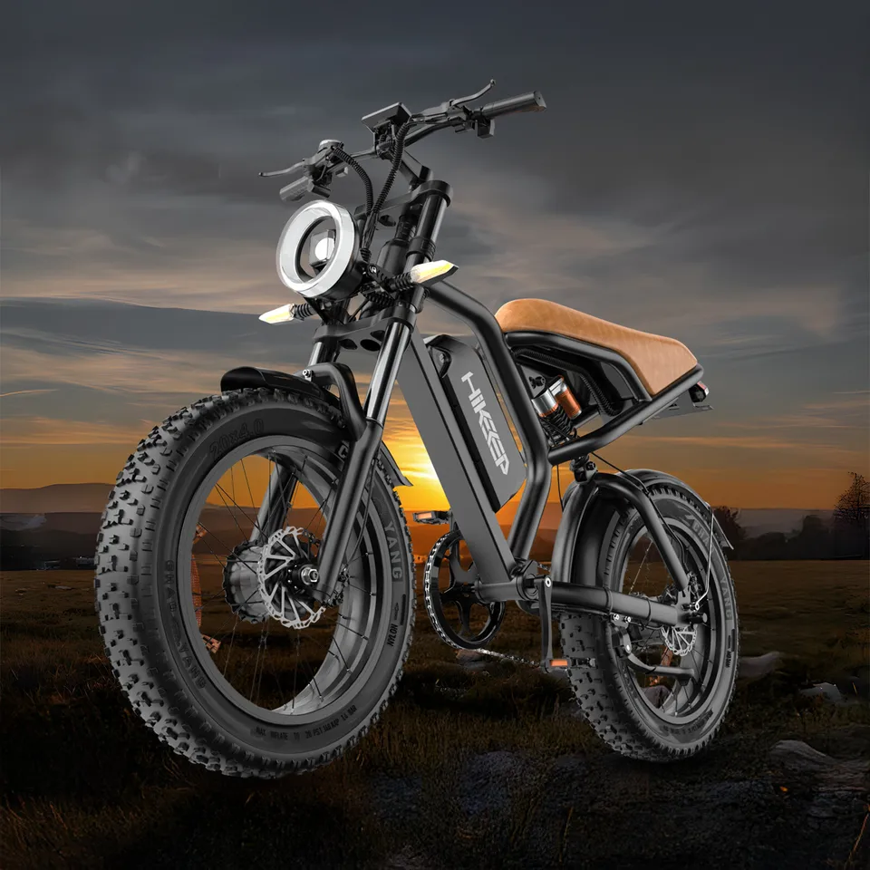 20" Electric Bike For Adult 3000W Peak Dual Motor Bicycle Fat Tyre E-Bike