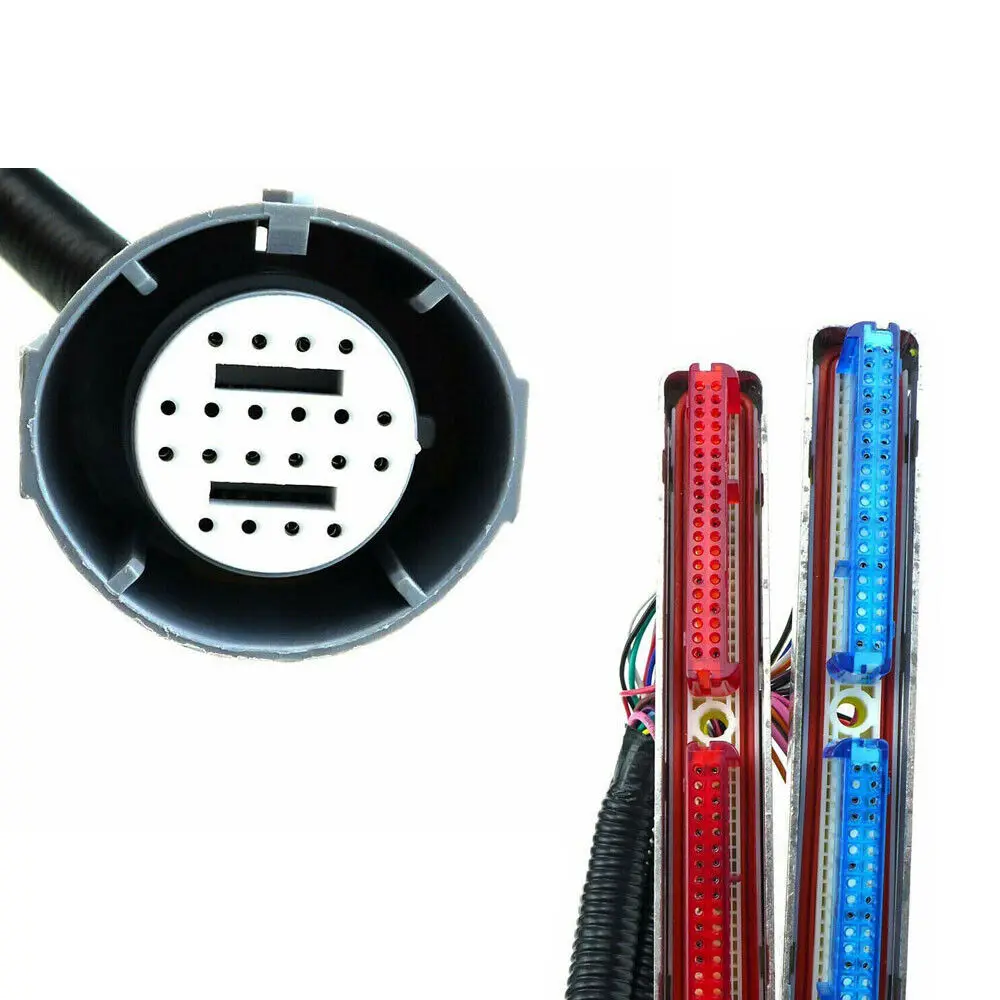 Picture 7: Stand Alone Harness For Drive by Cable DBC 1997-06 LS1 SWAP 4.8 5.3 6.0 LS 4L60E