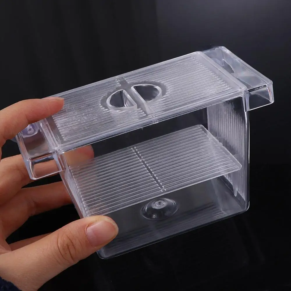 Guppy-aislamiento acrílico con ventosas para camarones, peces, incubadora de peces para bebés, caja de cría de peces, caja de aislamiento de peces