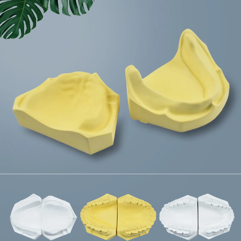 1Pc Dental Material Dentures Standard Plaster Model Have Teeth Toothless Full-Port Super Anhydrite Model for Teaching