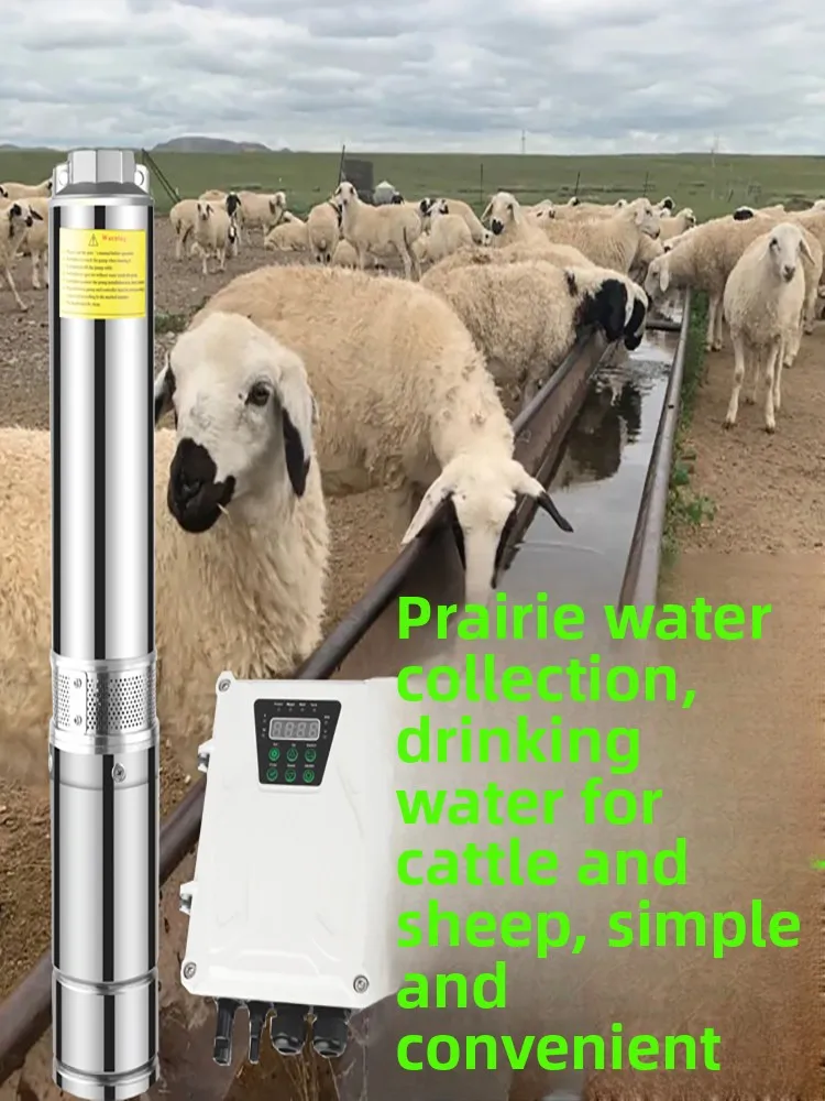 Stainless Steel Solar DC 48V/72V Photovoltaic Submersible Pump Automatic Irrigation Deep Well Brushless DC Pump