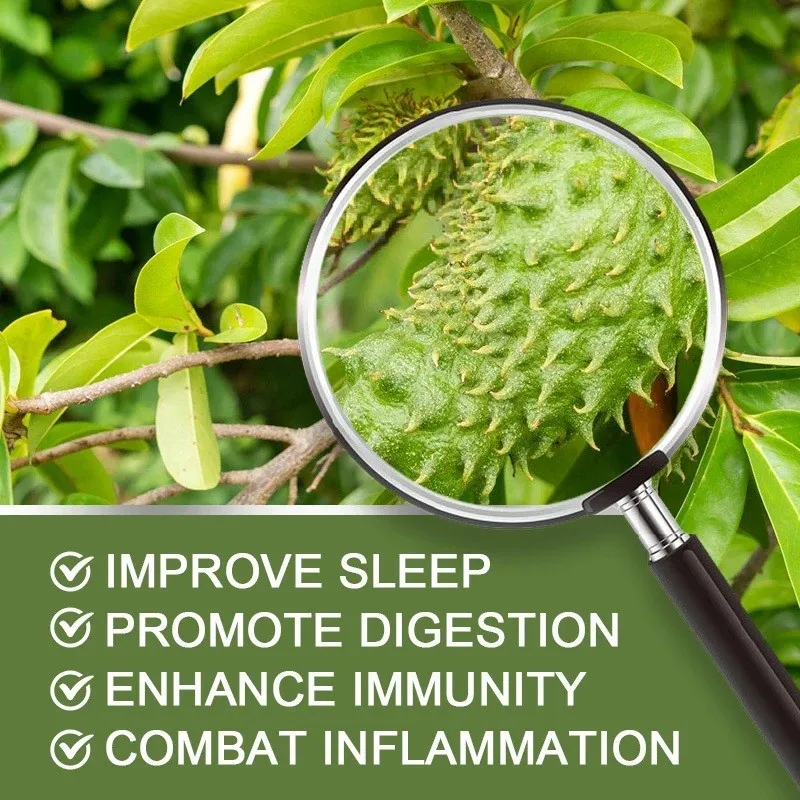Kexinsh Soursop Graviola Capsules Guanabana Cell Support & Regeneration Immune Boost Relax, Liver and Sleep Cellular Health