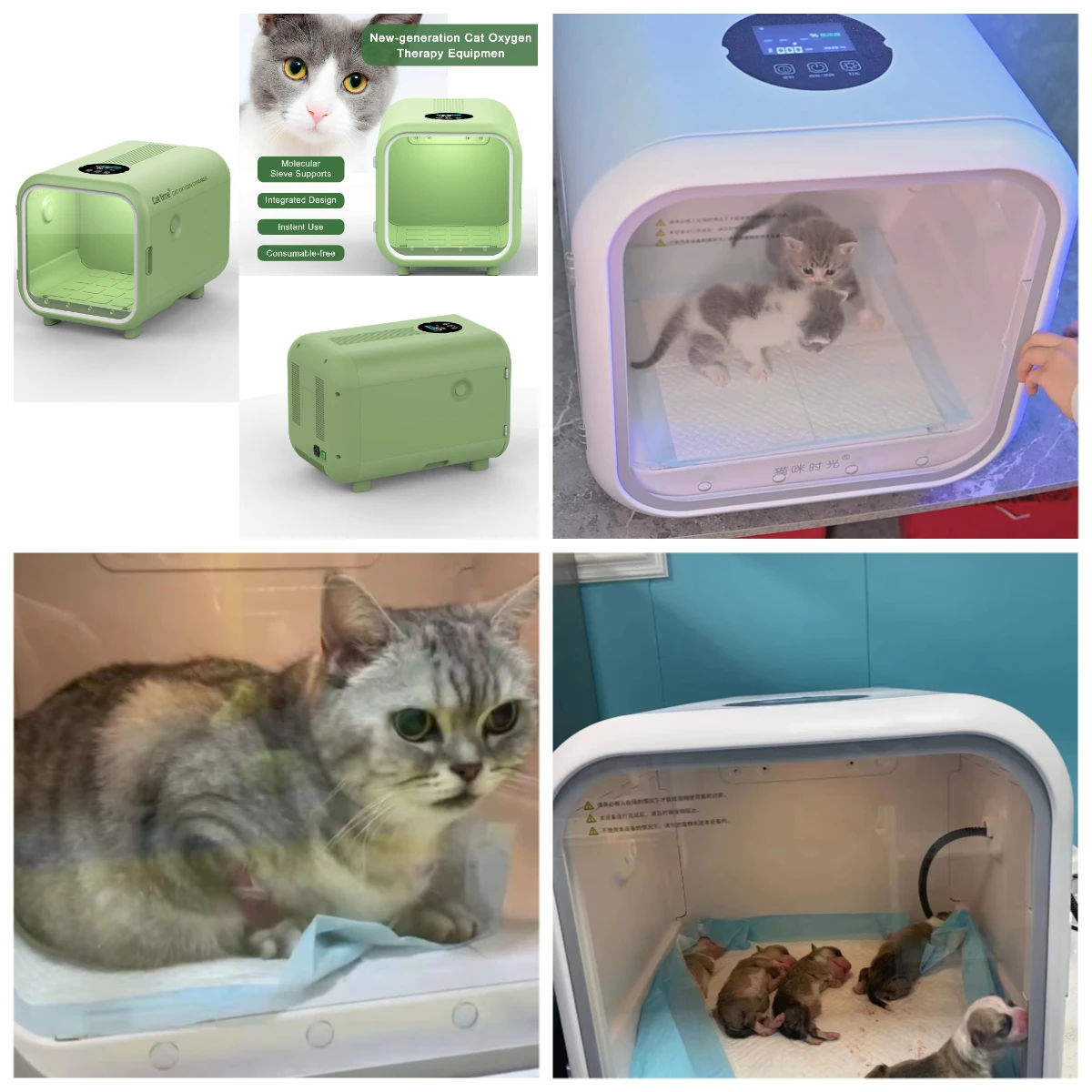 

JW Manufacture Professional Factory Canine Oxygen Chamber Cat Condo Cage Box for Pet Veterinary Recovery Cage
