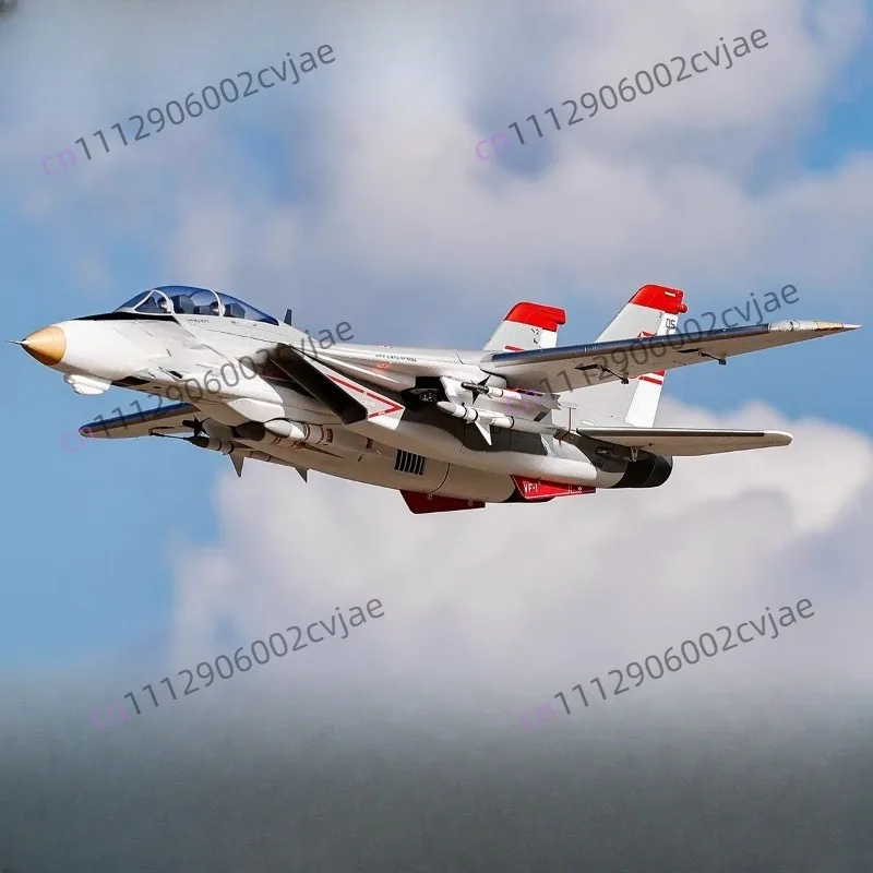 Flying Wing Model Double 64mm F-14 V2 New Version 