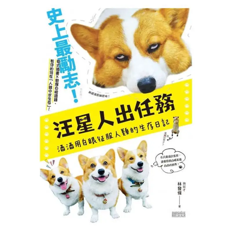 The Dog Goes On A Mission  Jiujius Survival Diary Of Conquering Humans With White Eyes Lin Shaojiu Sticker Card Set  Happy Editi