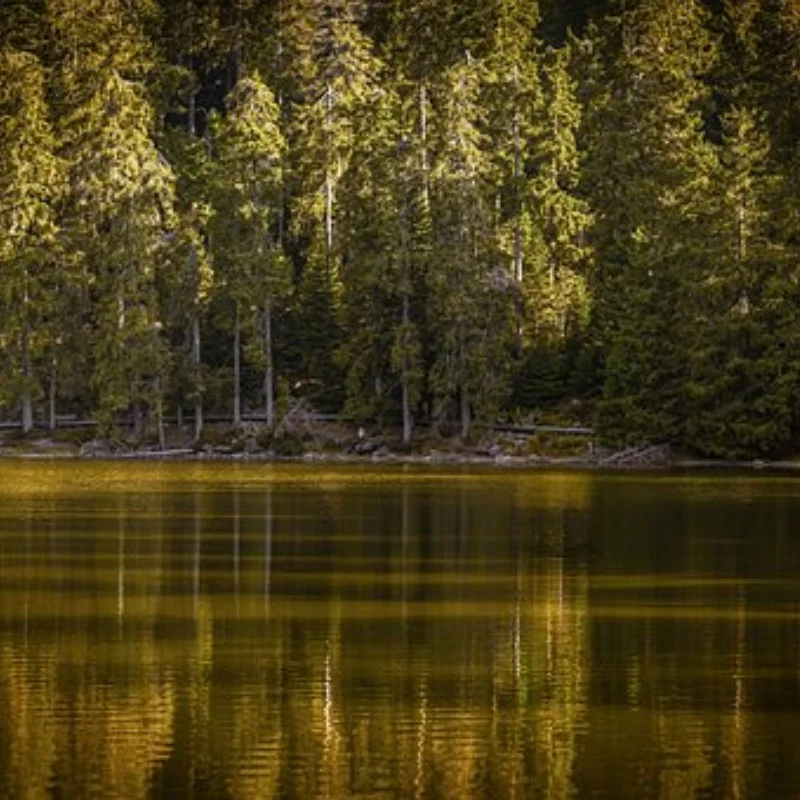 

119 мм 1,9-дюймовые резиновые шины для колес, шины для восхождения для 1/10 RC гусеничного автомобиля, осевой SCX10 90046 TRX4 Redcat Gen8