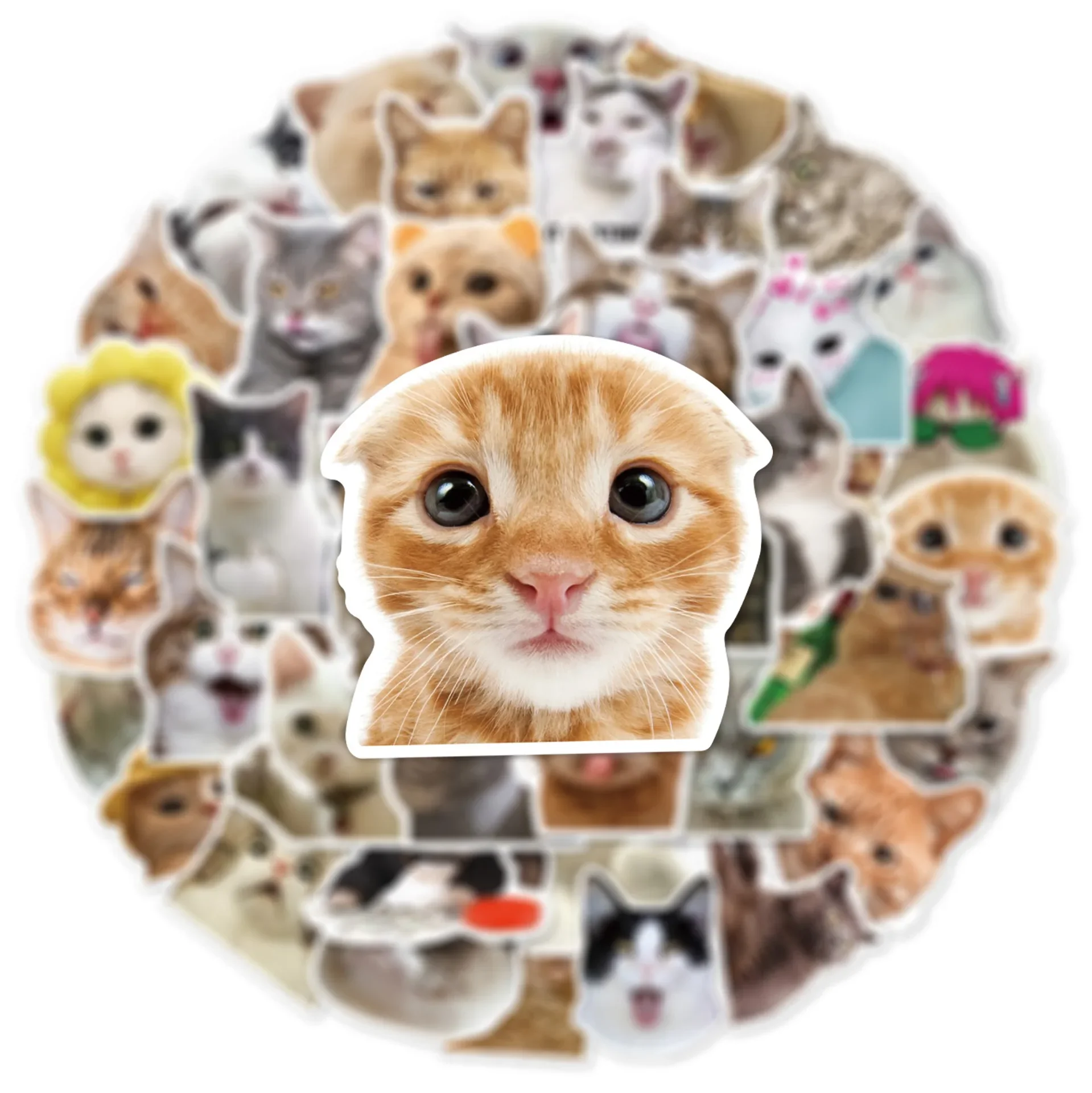 10/30/50Pcs Funny Cat Waterproof Graffiti Sticker Aesthetic Decorative Luggage Cup Guitar Laptop Phone Notebook Kids Stickers