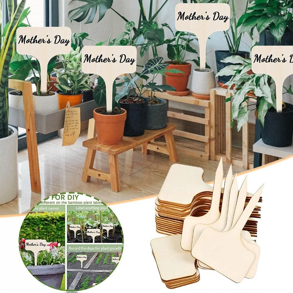 Poplar wood horticultural flower plate tag Garden name plate indicator Landscape identity shaped wood craft