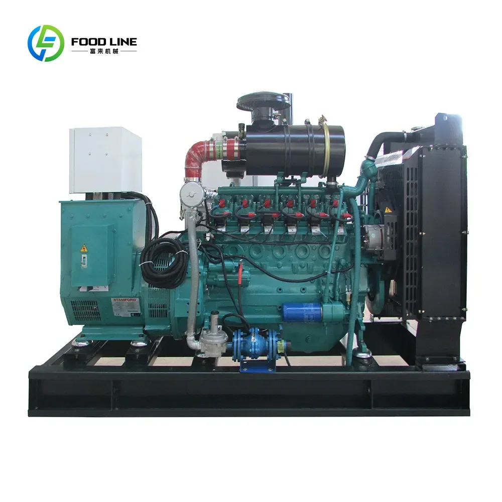 40kw 50kw 80kw 100kw 120kw Natural Gas Generator Set