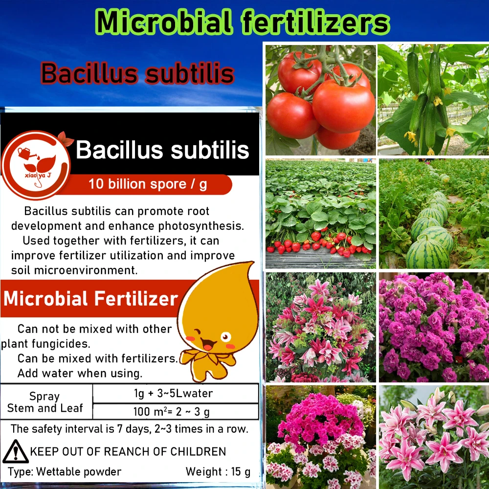 15 g de fertilizantes microbianos: Bacillus Subnymore optimiza el suelo y promueve el crecimiento de las plantas para el jardín