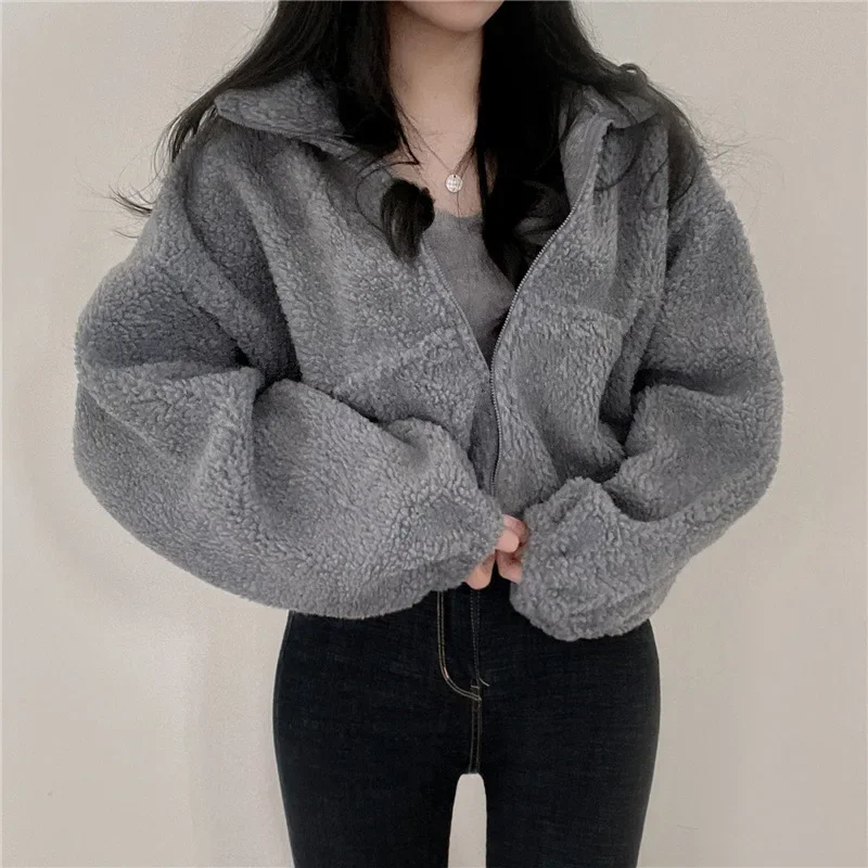 Women's Warm Faux Lamb Fur Jacket Zipper Stand Collar Short Style Autumn Winter New Loose Personalit