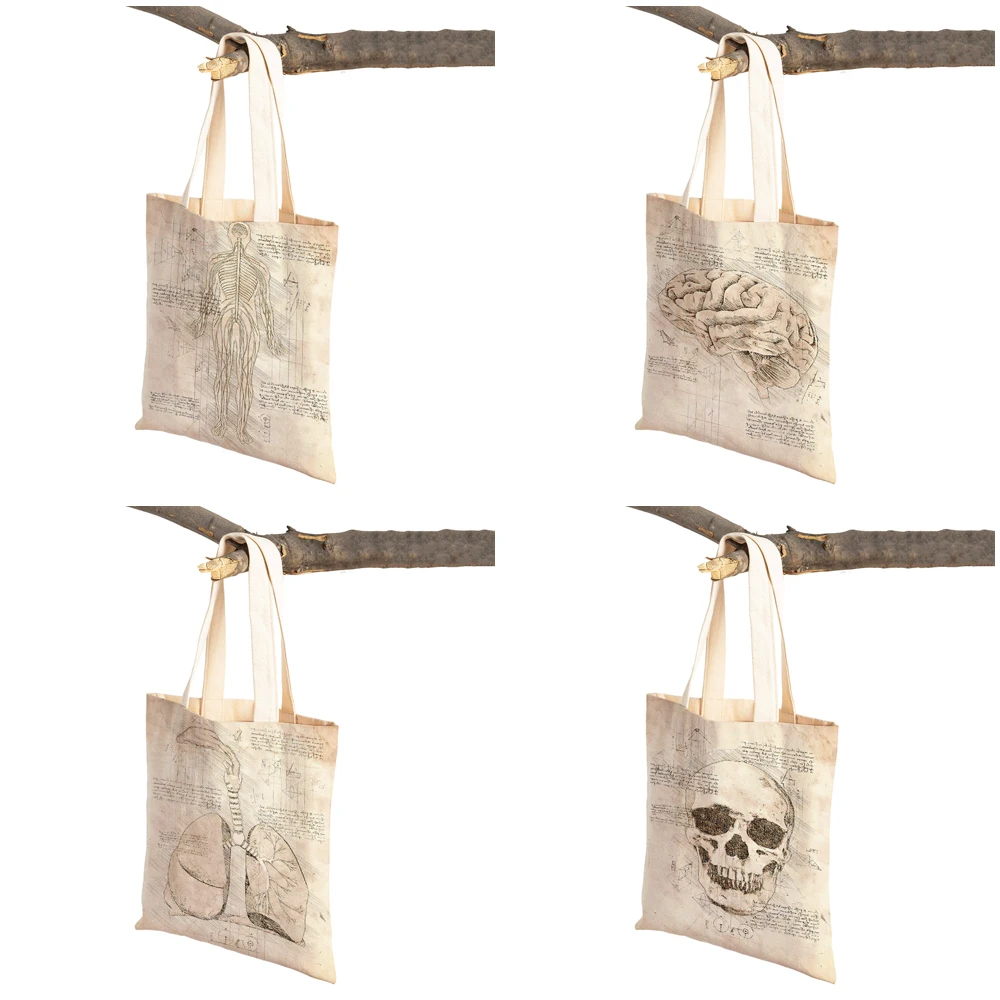 Sketch Anatomy Physiology The Body Structure  Women Shopping Bags Double Print Casual Canvas Handbag Vintage Lady Shopper Bag