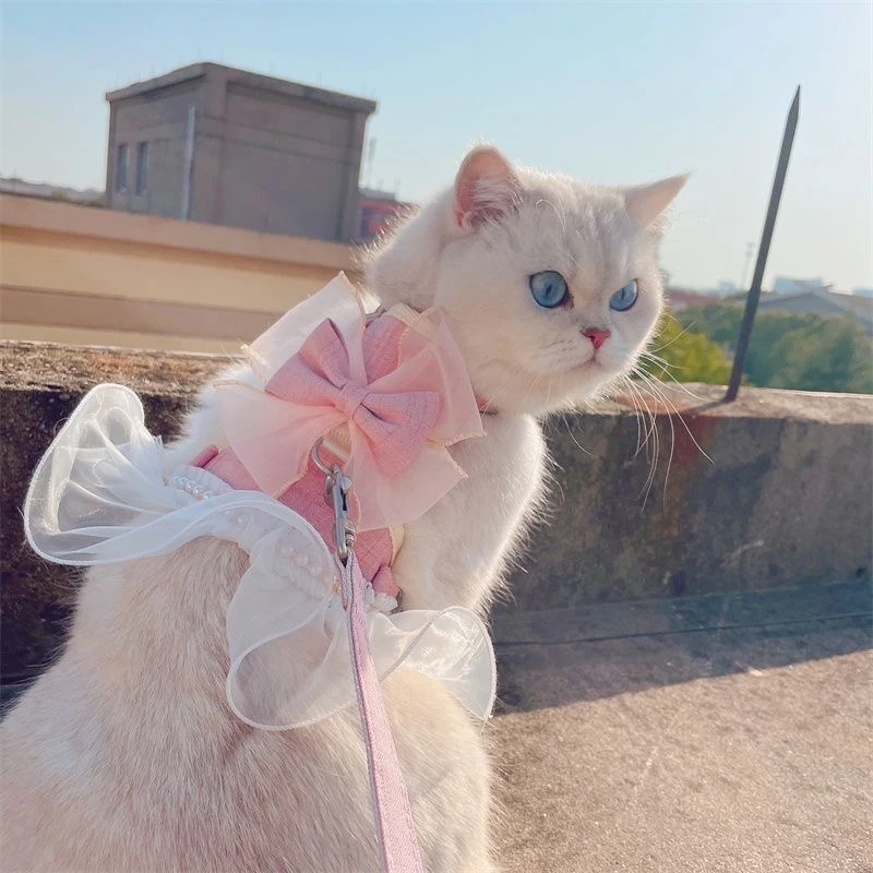 

Cat chest strap leash Princess skirt dual-purpose pet clothes Muppet Teddy fairy slip cat rope dog rope out