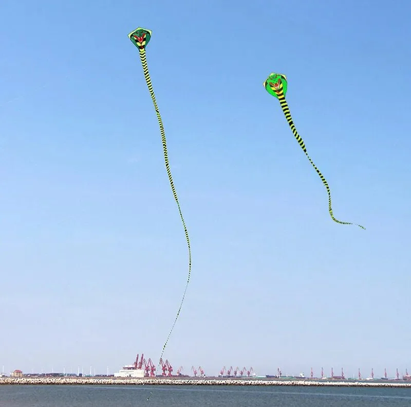 Grote slangenvlieger cerf volant enfants parachute kinderen buitenspeelgoed windvliegers Power vlieger buitenspellen Vliegeren vlindervlieger