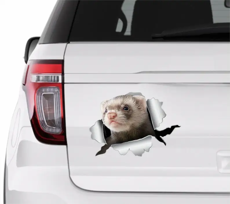 Ferret sticker Ferret decal Car sticker ferret Ferret car sticker Funny decal Ferret stickers Laptop ferret Decal ferret Auto st