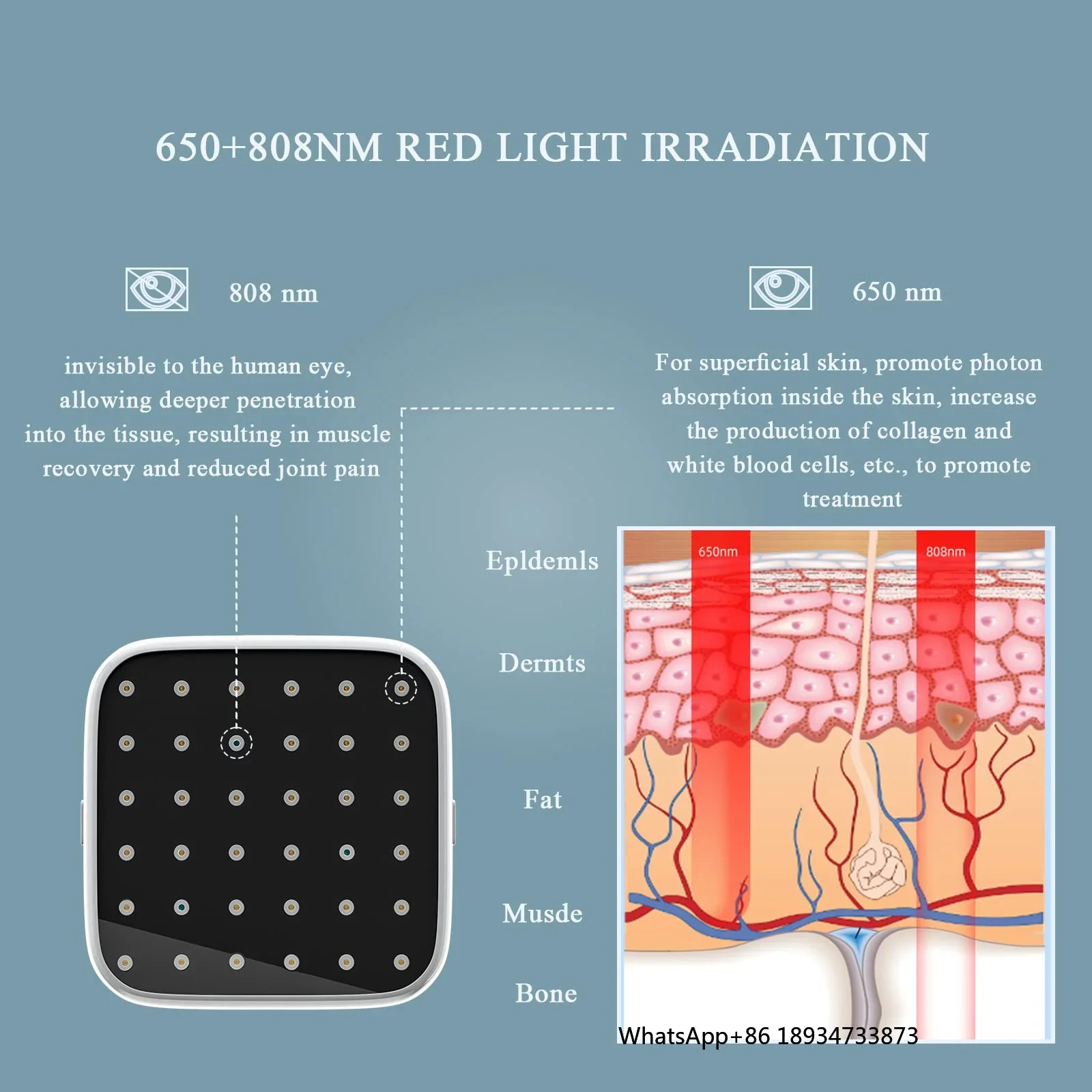 Portable  Therapy with LCD Infrared Light Device for Waist Lower Abdomen Neck Joints Muscles (3 x 808nm, 33 x 650nm)