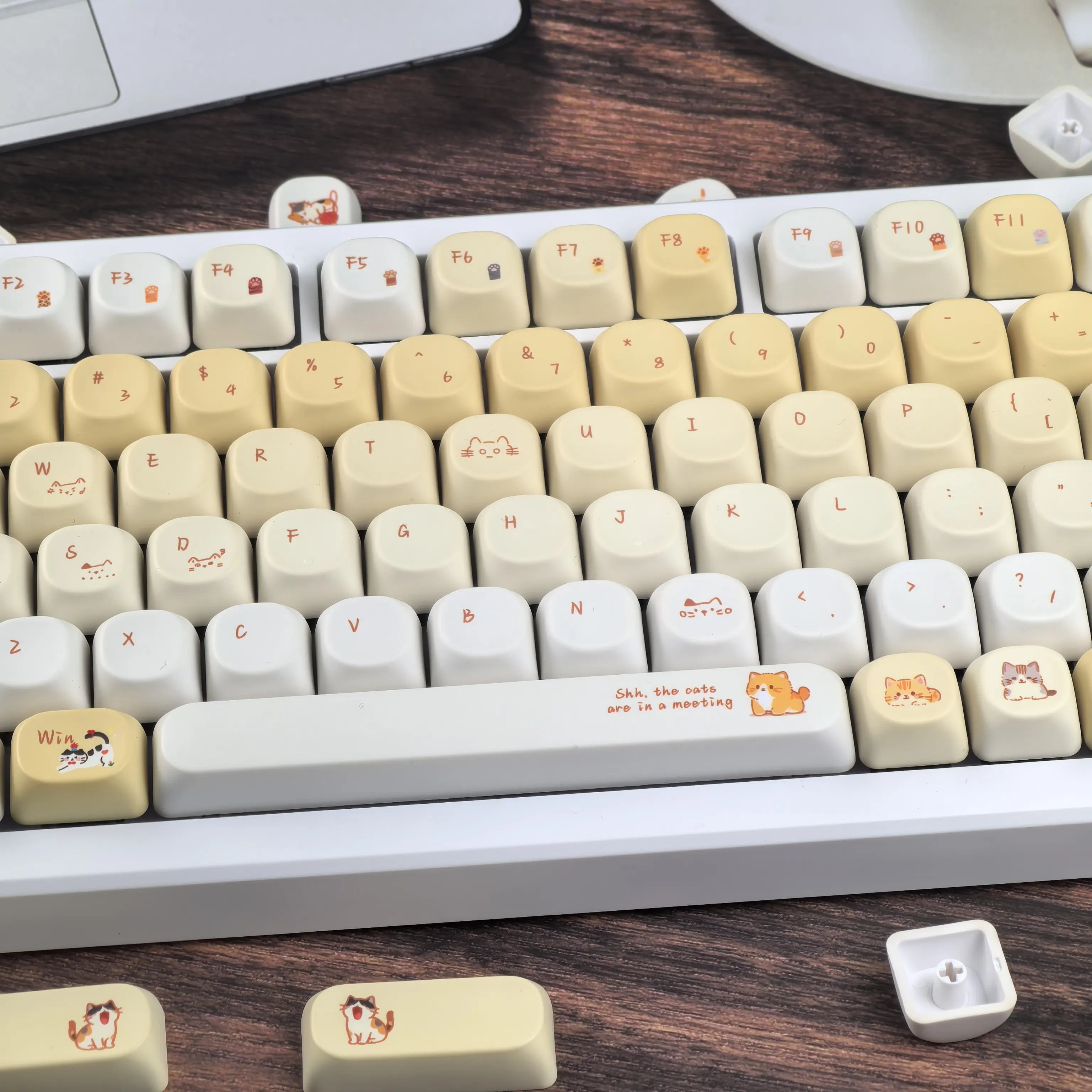 MAIMOOO Keycaps Cute Kitties Chick Yellow Korean Russian gradient Moa Cherry ISO layout Aula Ajazz Dareu keyboard keycap