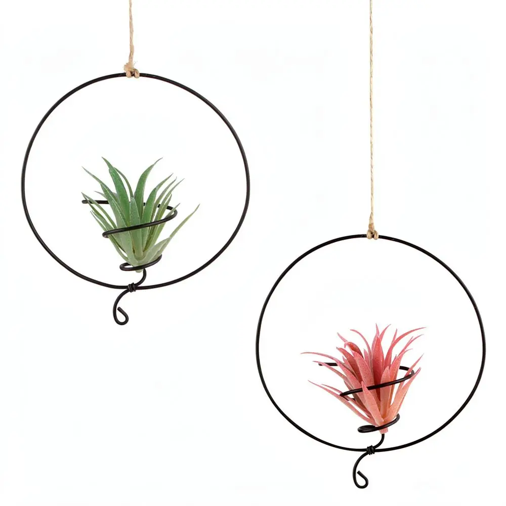 Simple Iron Spiral Air Plant Hanger Foldable Tillandsia Stand Desktop Hanging Display Rack For Garden Indoor