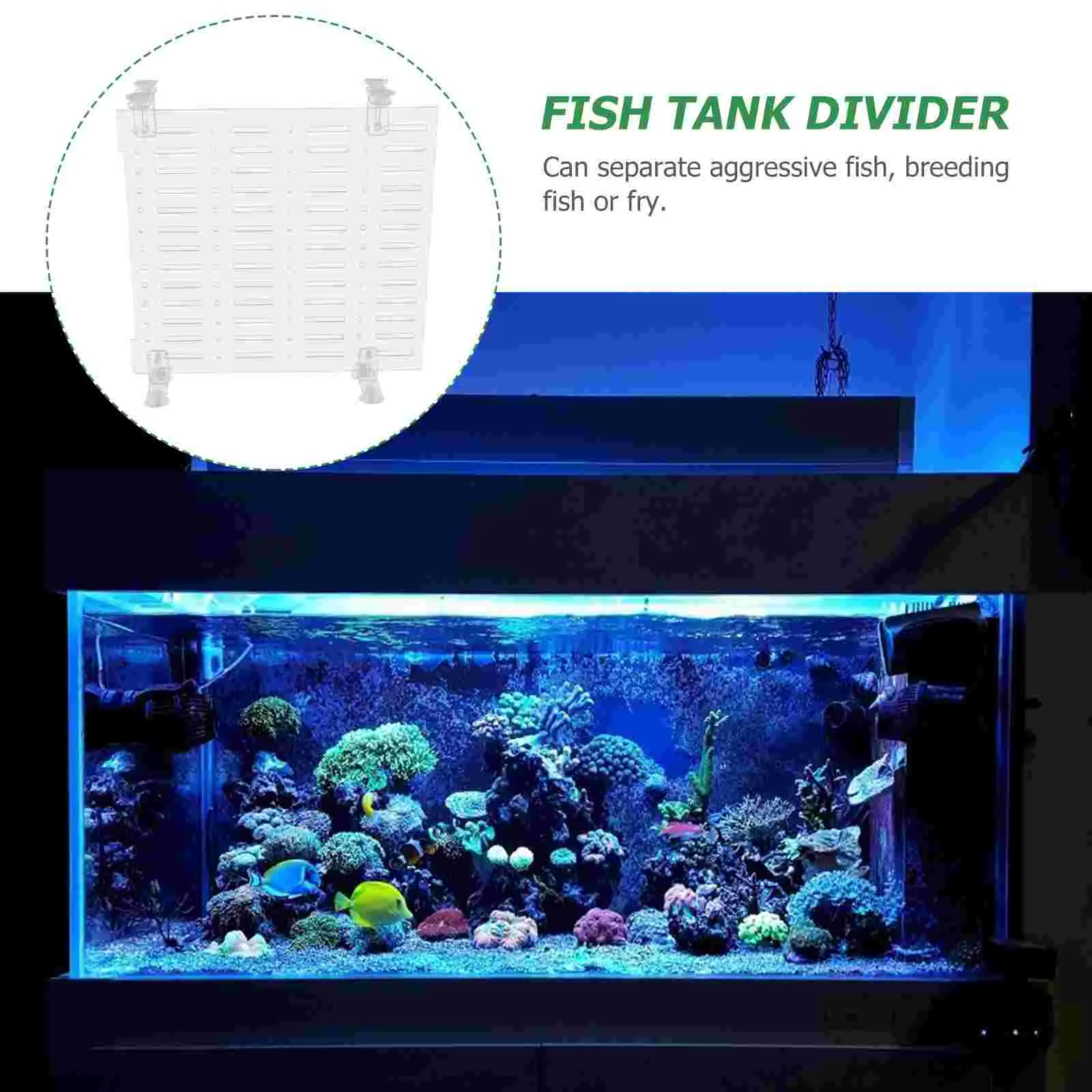 Fish Tank Isolation Board Plate Aquarium Divider Tool Dividing Line Acrylic Tanks