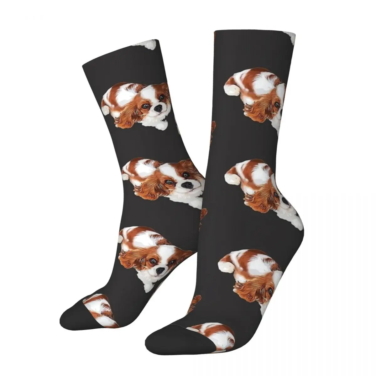 Cavalier King Charles Spaniel Looking Up Socks Cute Dog Fashion Stockings Autumn Anti Sweat Unisex Men Socks Medium Soft Socks