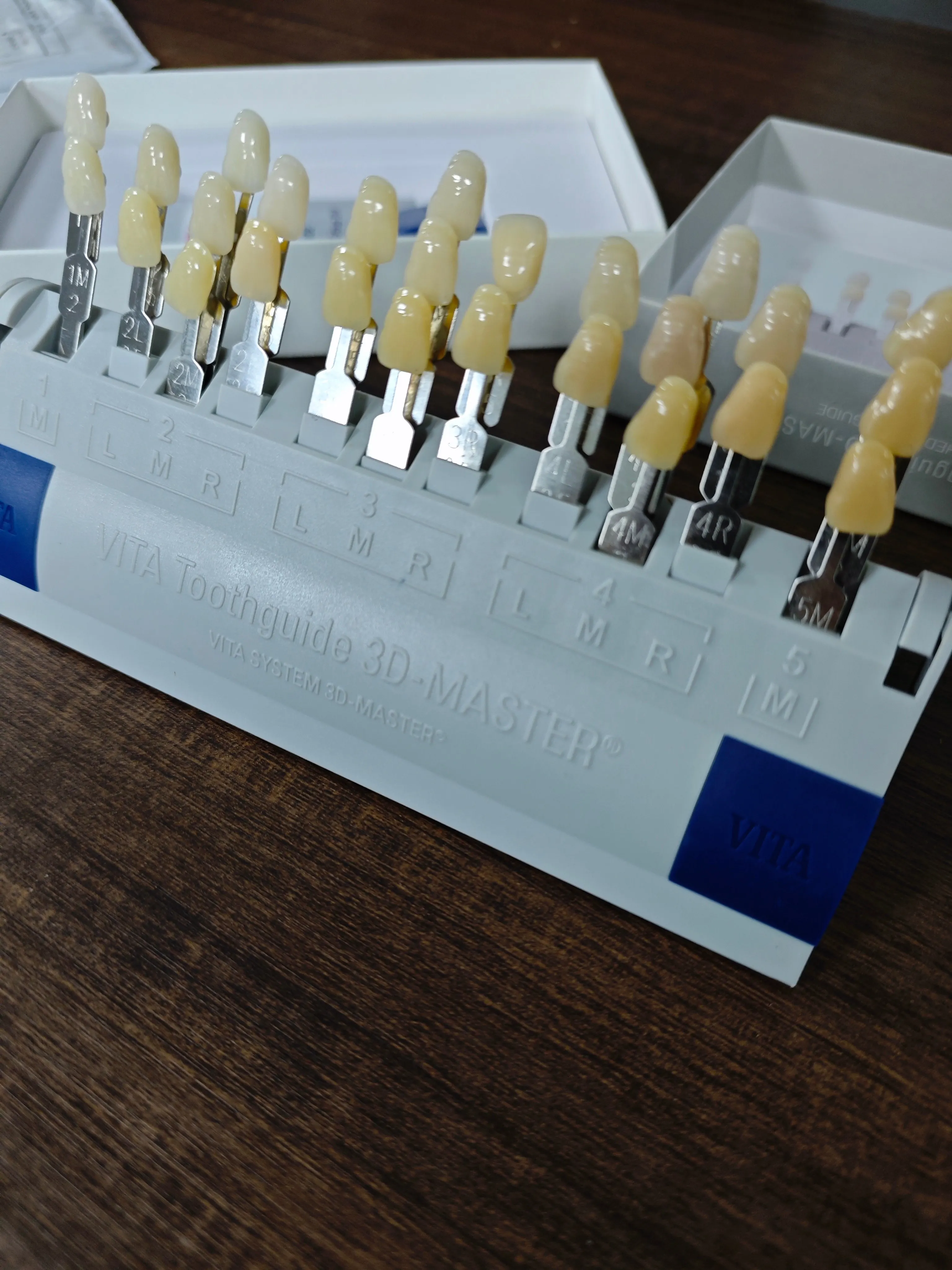 Vita 3D Master Dental Lab Bleach Shade Guide 29 Colors Teeth Whitening Colorimetric Comparison Plate for Dentistry Clinic