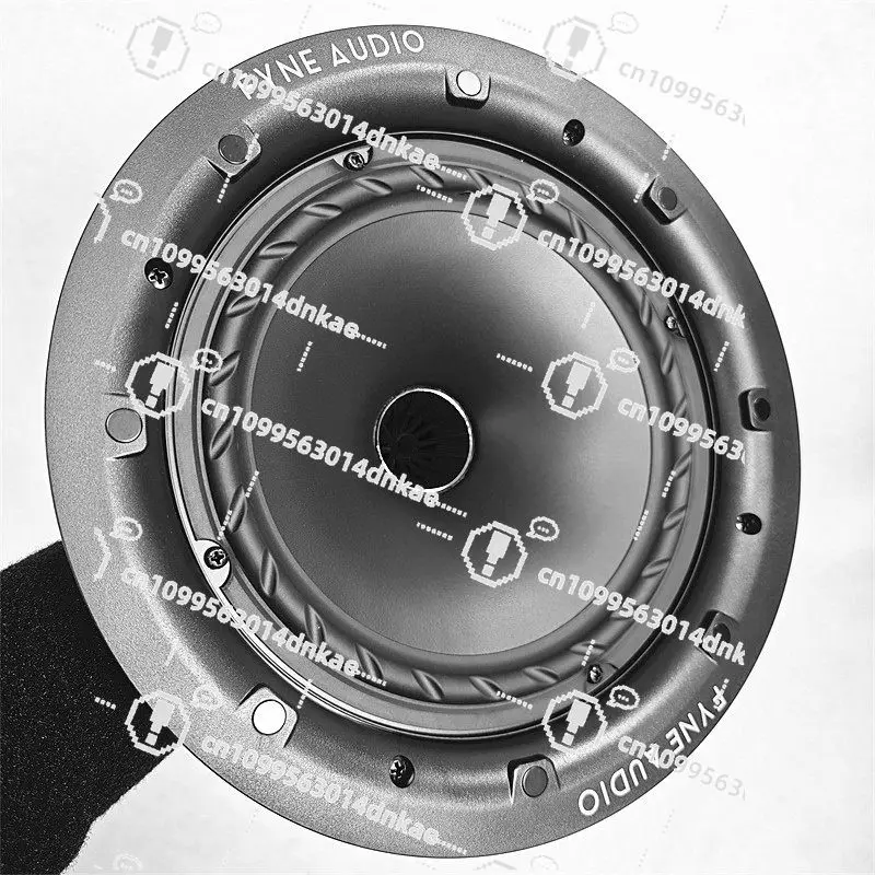 2 Magnetic Mask 8 Inch Common Point Coaxial Corrugated Edge Speaker Quality Original High Quality Cow Fork Cost-effective