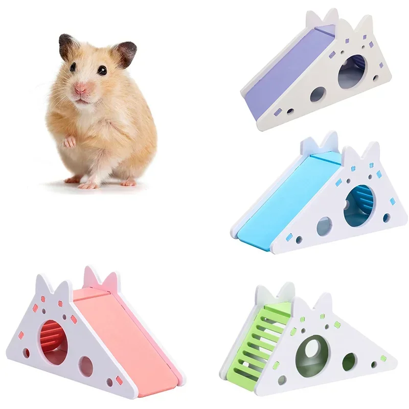 Funny Hamster Slide…