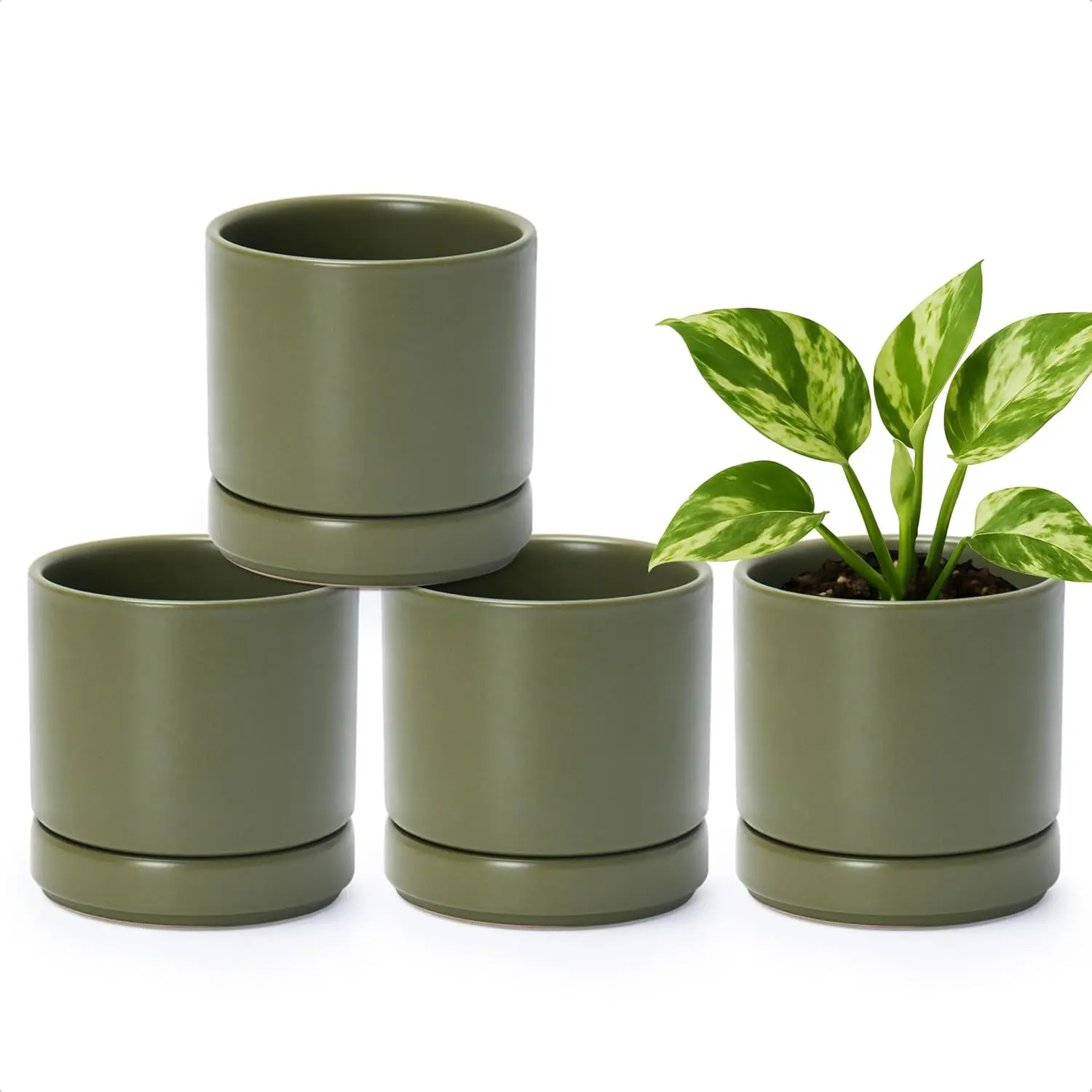 

Set of 4 Small Ceramic Plant Pots with Drainage Holes and Saucers, 4.7 Inch Succulent Planter for Indoor Plants, Olive Green