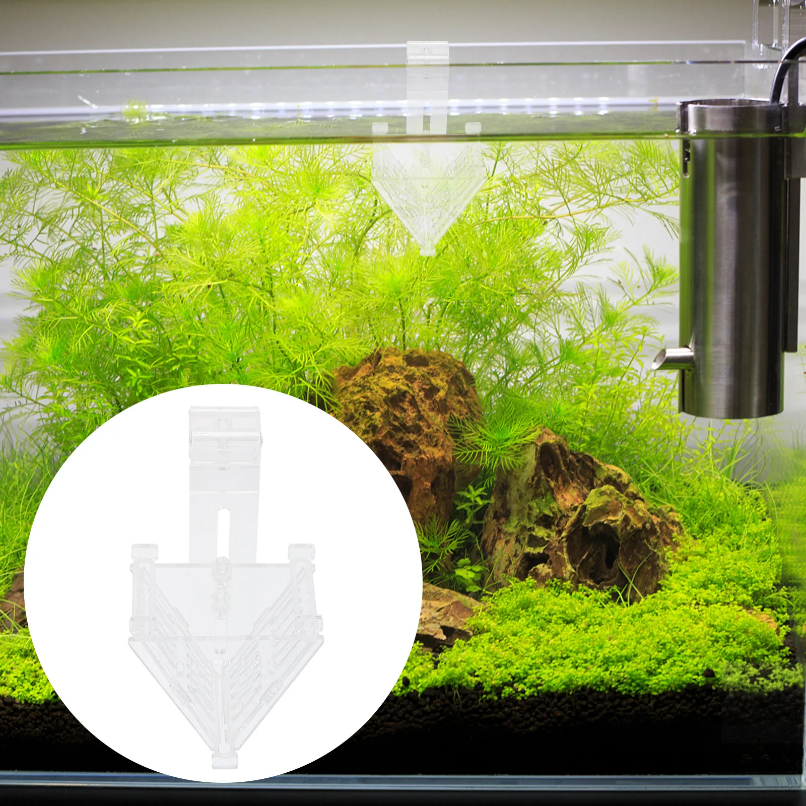 Copo de alimentação para peixe - Aquarium Fish Types avaliação e preço