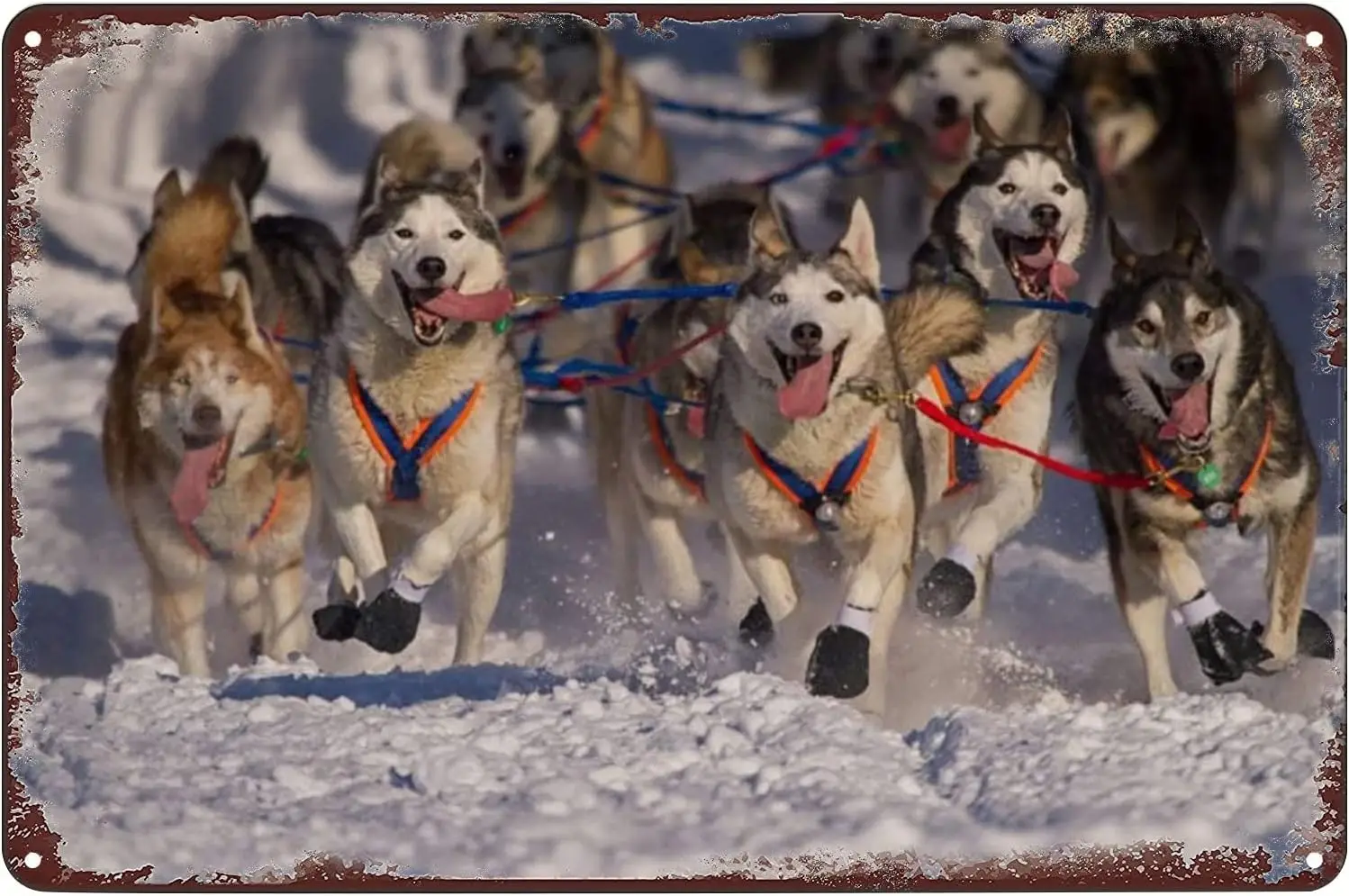 Huskies Dog Sled Poster Metal Tin Sign Wall Art Plaque Decor for Home Bar Pub Club Cafe 8x12 inch sign