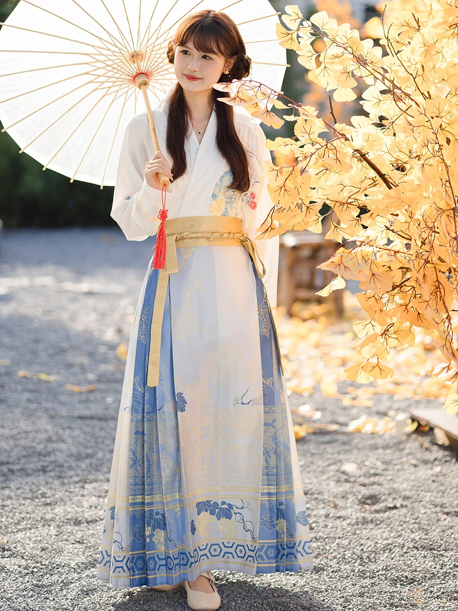 

New Chinese Sle Tail Skirt Set Women's Ming Dynas Hanfu Two Piece Set Spring Autumn High Faion Traditional Costume