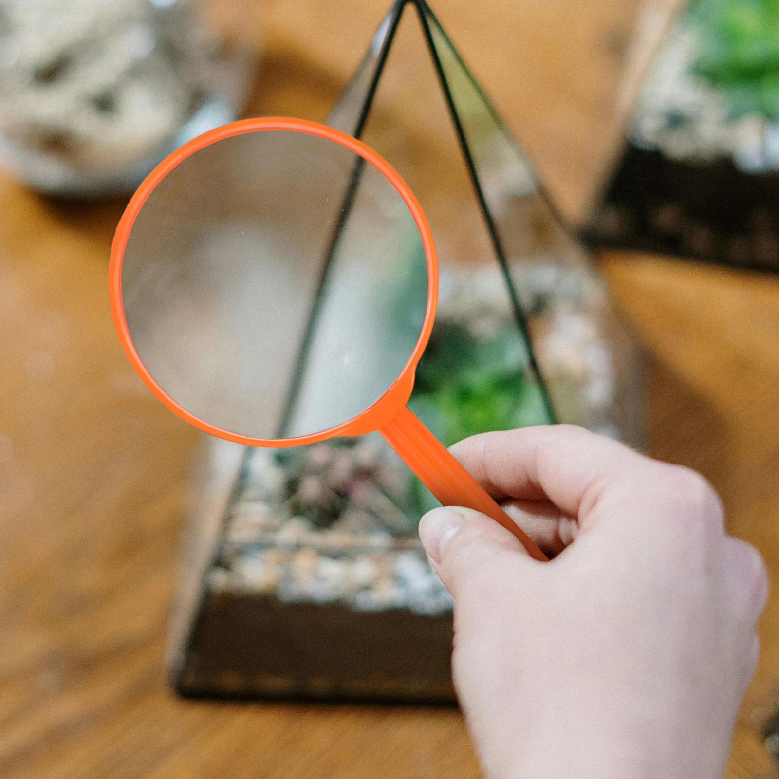 

5Pcs Handheld Magnifier Acrylic Portable Explore Magnifier for Reading Outdoor Observation Science Learning