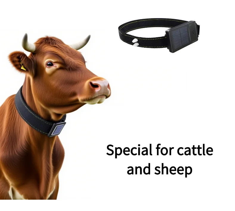 

4G/2G Waterproof Solar Livestock Tracker Fence Anti Theft 10000mH Real Time GPS Android/IOS/PC App Beidou Mode Cow-Made Plastic