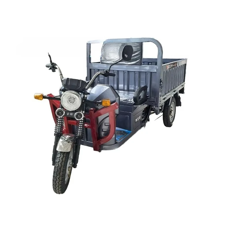 QQA Custom Electric Tricycle Accessories Electric Pickup 650 Watt Tricycle Design Cargo Tricycle